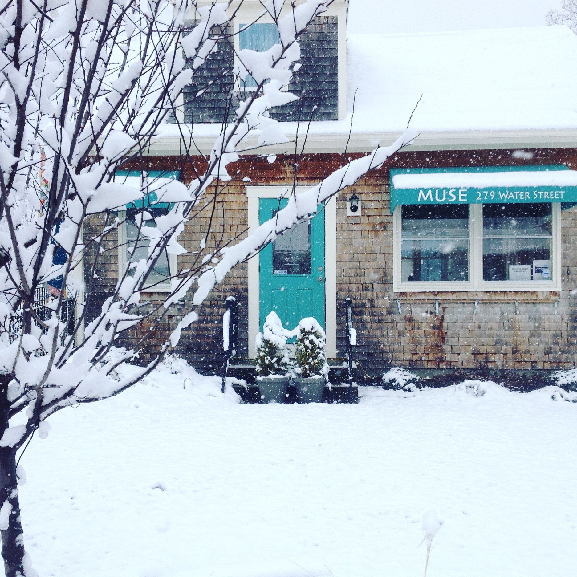MUSE in Winter