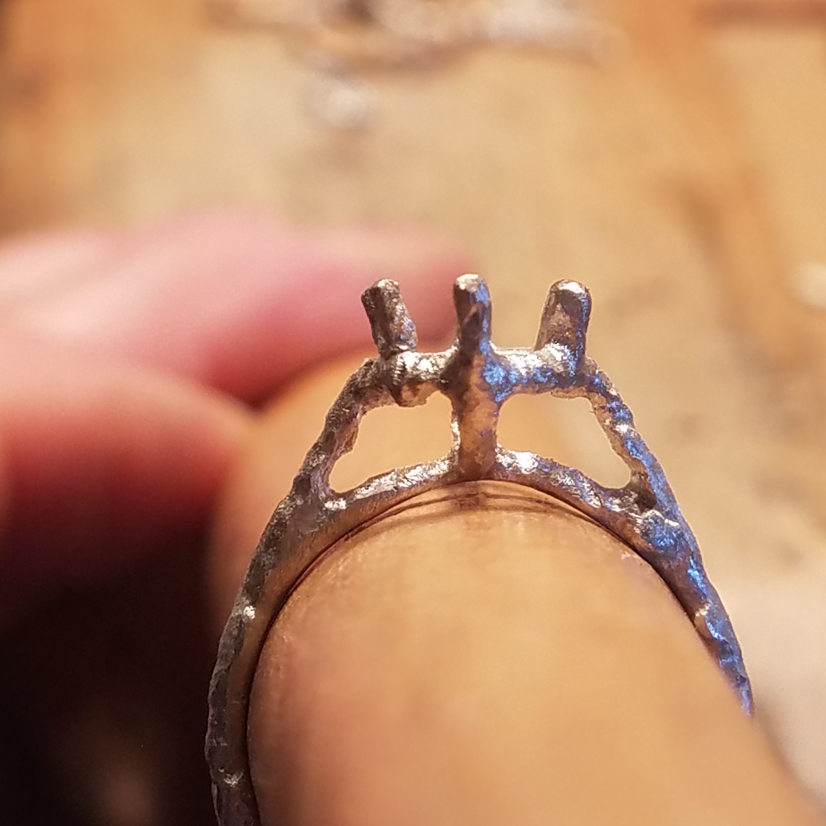 14K White Gold Casting of Twig Ring by Darrien Segal 