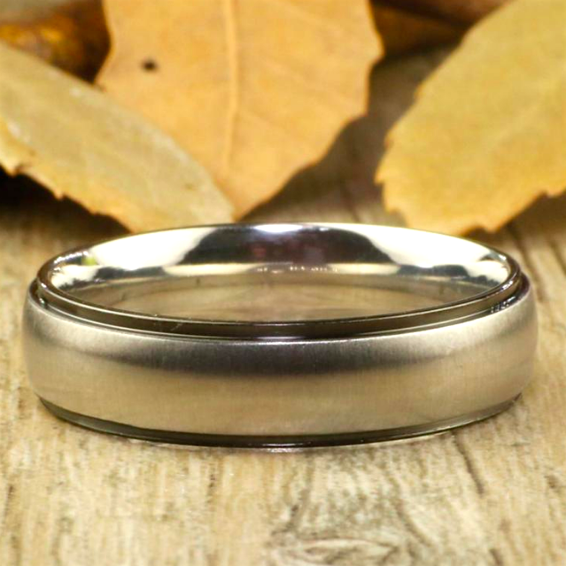 Matte Finished Titanium Band